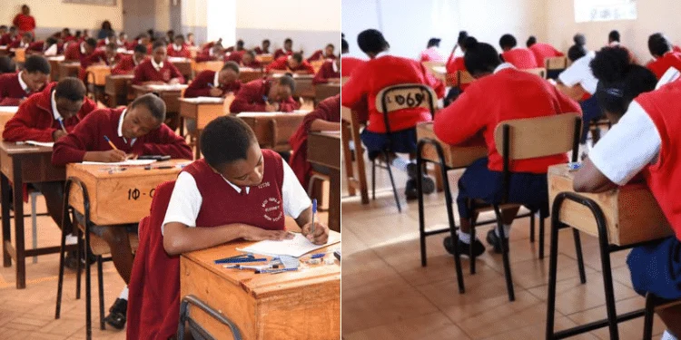 Untitled-design-2024-08-27T123218.258 Untitled-design-2024-08-27T123218.258